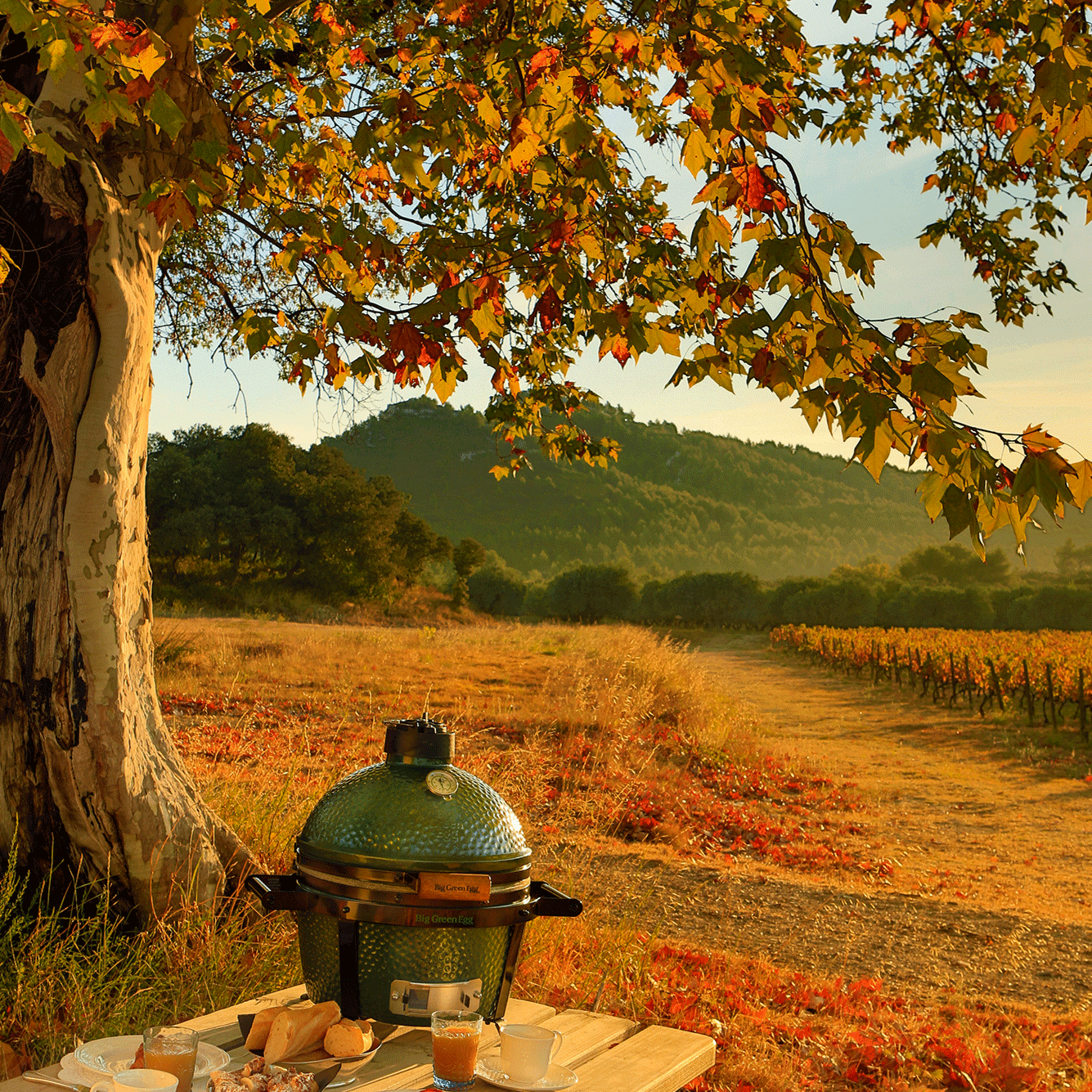 MiniMax Big Green Egg