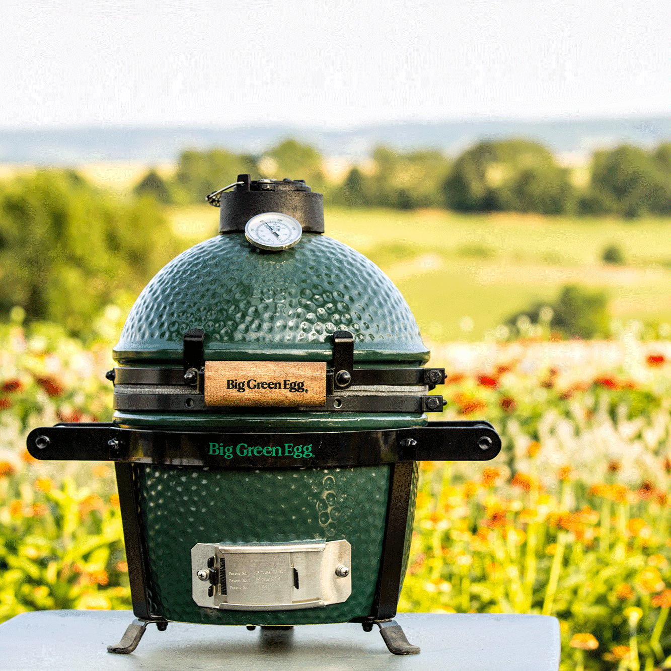 Mini Big Green Egg